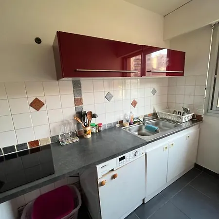 Appartement 2 Pieces Avec Terrasse En Privee